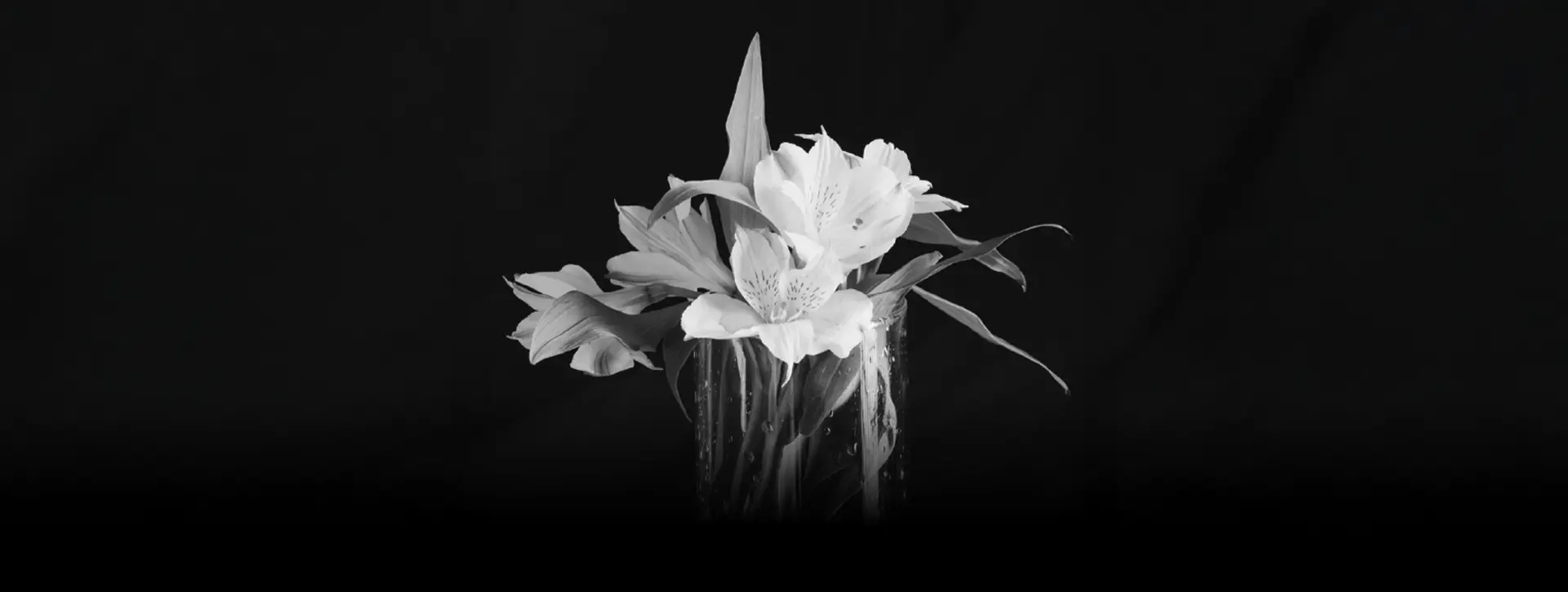 承福殯儀社企全力支援大埔宏福苑罹難者免費提供殯葬服務